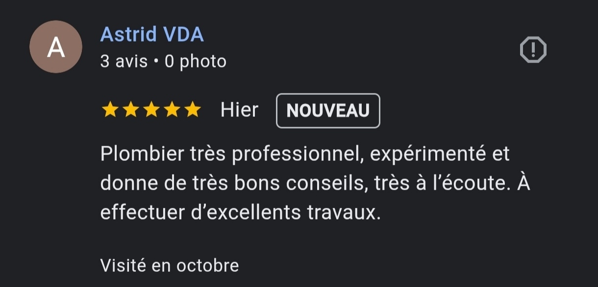 Avis Google 5 étoiles Aperçu d'un avis avec 5 étoiles pour un service professionnel.
